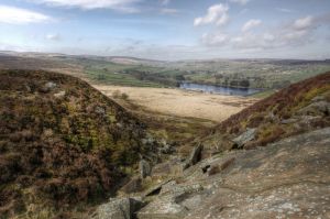 elaine dowse moor 1 sm.jpg